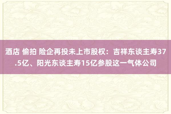 酒店 偷拍 险企再投未上市股权：吉祥东谈主寿37.5亿、阳光东谈主寿15亿参股这一气体公司