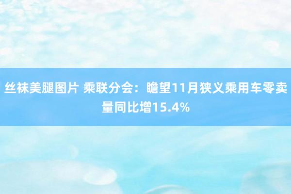 丝袜美腿图片 乘联分会：瞻望11月狭义乘用车零卖量同比增15.4%