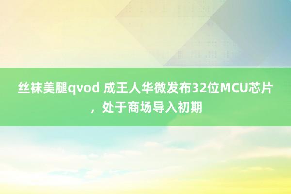 丝袜美腿qvod 成王人华微发布32位MCU芯片，处于商场导入初期