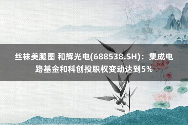 丝袜美腿图 和辉光电(688538.SH)：集成电路基金和科创投职权变动达到5%