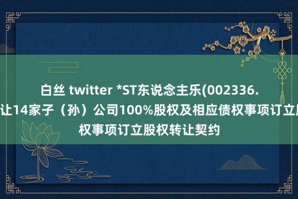 白丝 twitter *ST东说念主乐(002336.SZ)：挂牌转让14家子（孙）公司100%股权及相应债权事项订立股权转让契约