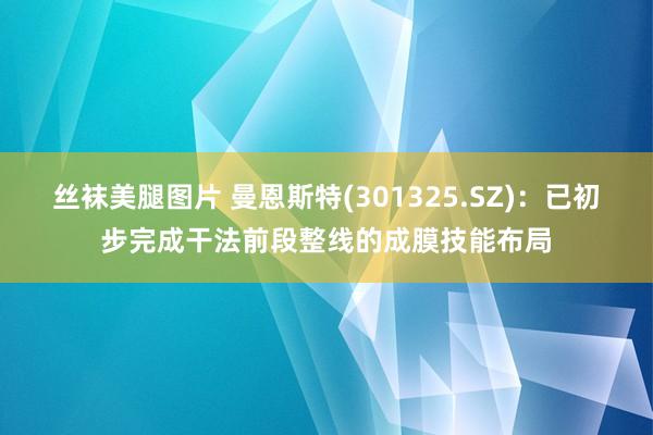 丝袜美腿图片 曼恩斯特(301325.SZ)：已初步完成干法前段整线的成膜技能布局