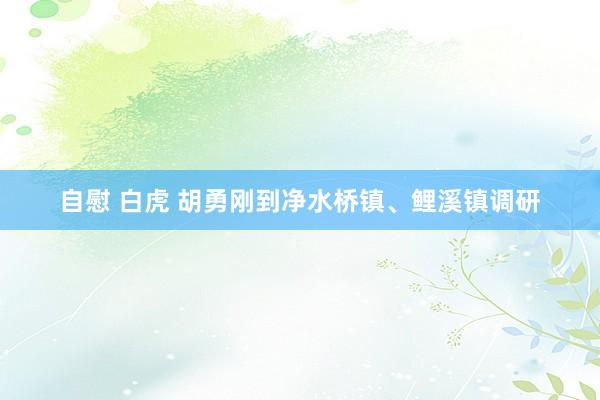 自慰 白虎 胡勇刚到净水桥镇、鲤溪镇调研