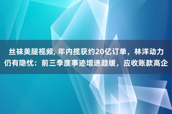 丝袜美腿视频， 年内揽获约20亿订单，林洋动力仍有隐忧：前三季度事迹增速趋缓，应收账款高企