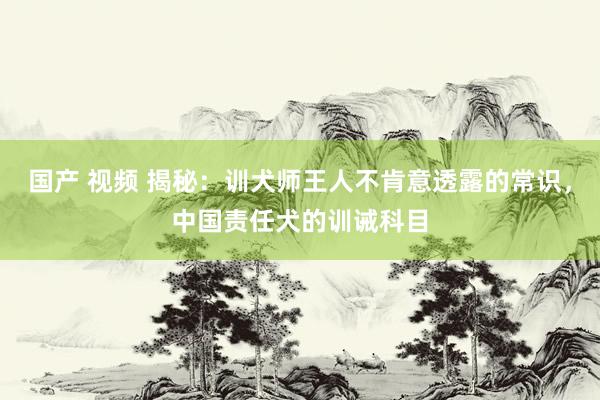 国产 视频 揭秘：训犬师王人不肯意透露的常识，中国责任犬的训诫科目