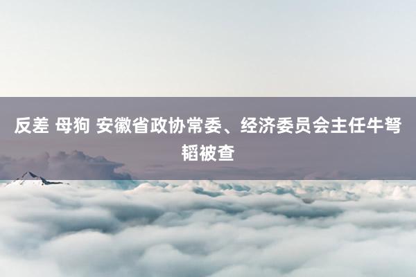 反差 母狗 安徽省政协常委、经济委员会主任牛弩韬被查