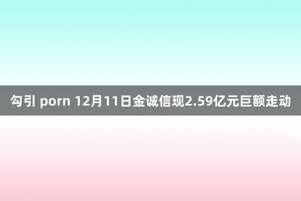 勾引 porn 12月11日金诚信现2.59亿元巨额走动