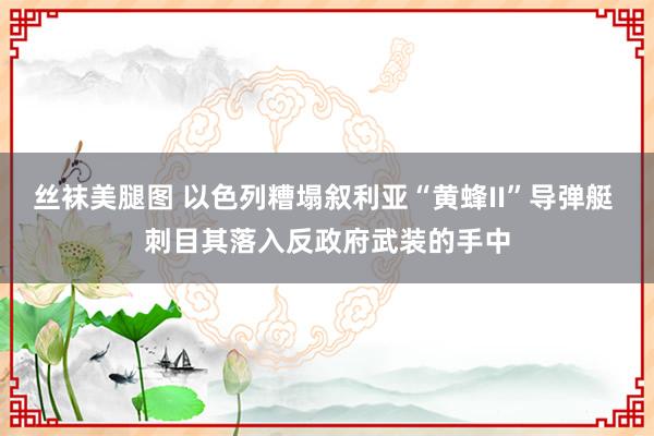 丝袜美腿图 以色列糟塌叙利亚“黄蜂II”导弹艇 刺目其落入反政府武装的手中