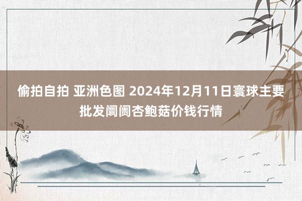 偷拍自拍 亚洲色图 2024年12月11日寰球主要批发阛阓杏鲍菇价钱行情