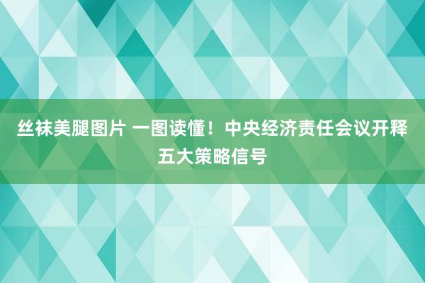 丝袜美腿图片 一图读懂！中央经济责任会议开释五大策略信号