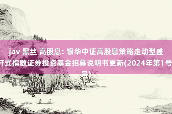 jav 黑丝 高股息: 银华中证高股息策略走动型盛开式指数证券投资基金招募说明书更新(2024年第1号)