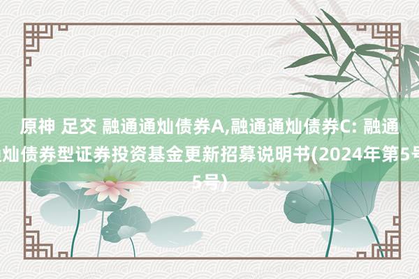 原神 足交 融通通灿债券A，融通通灿债券C: 融通通灿债券型证券投资基金更新招募说明书(2024年第5号)