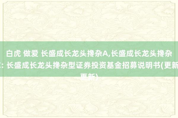 白虎 做爱 长盛成长龙头搀杂A，长盛成长龙头搀杂C: 长盛成长龙头搀杂型证券投资基金招募说明书(更新)