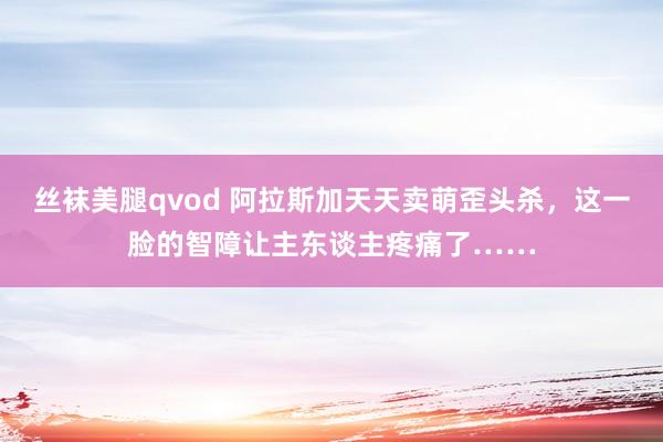 丝袜美腿qvod 阿拉斯加天天卖萌歪头杀，这一脸的智障让主东谈主疼痛了……