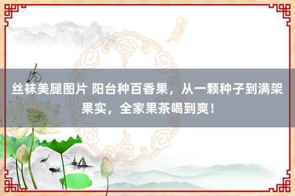 丝袜美腿图片 阳台种百香果，从一颗种子到满架果实，全家果茶喝到爽！