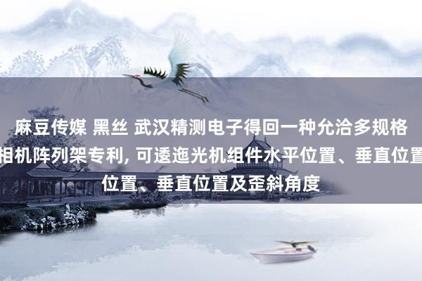 麻豆传媒 黑丝 武汉精测电子得回一种允洽多规格面板检测的相机阵列架专利， 可逶迤光机组件水平位置、垂直位置及歪斜角度