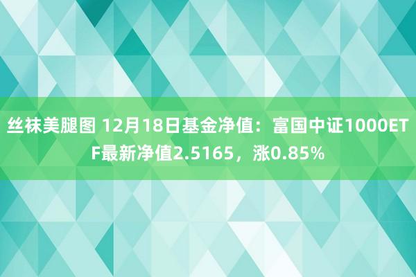 丝袜美腿图 12月18日基金净值：富国中证1000ETF最新净值2.5165，涨0.85%