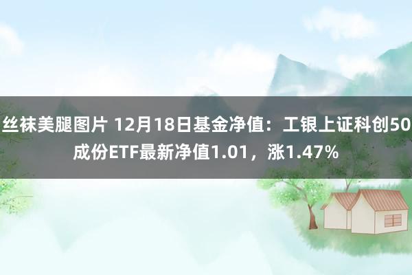 丝袜美腿图片 12月18日基金净值：工银上证科创50成份ETF最新净值1.01，涨1.47%