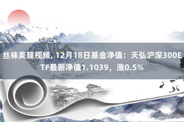 丝袜美腿视频， 12月18日基金净值：天弘沪深300ETF最新净值1.1039，涨0.5%