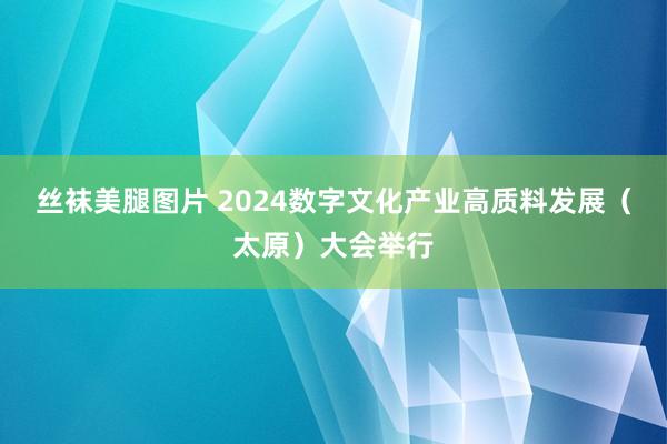 丝袜美腿图片 2024数字文化产业高质料发展（太原）大会举行