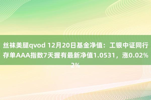 丝袜美腿qvod 12月20日基金净值：工银中证同行存单AAA指数7天握有最新净值1.0531，涨0.02%