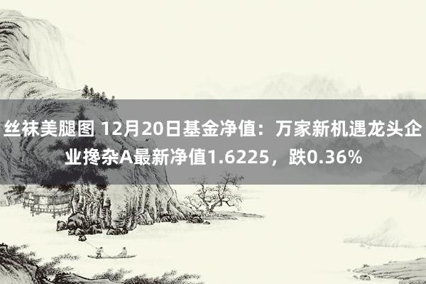 丝袜美腿图 12月20日基金净值：万家新机遇龙头企业搀杂A最新净值1.6225，跌0.36%