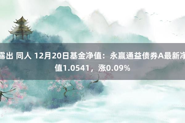 露出 同人 12月20日基金净值：永赢通益债券A最新净值1.0541，涨0.09%