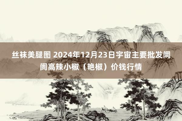 丝袜美腿图 2024年12月23日宇宙主要批发阛阓高辣小椒（艳椒）价钱行情