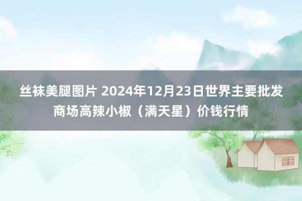 丝袜美腿图片 2024年12月23日世界主要批发商场高辣小椒（满天星）价钱行情