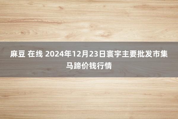 麻豆 在线 2024年12月23日寰宇主要批发市集马蹄价钱行情