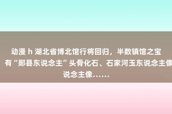 动漫 h 湖北省博北馆行将回归，半数镇馆之宝亮相，有“郧县东说念主”头骨化石、石家河玉东说念主像……