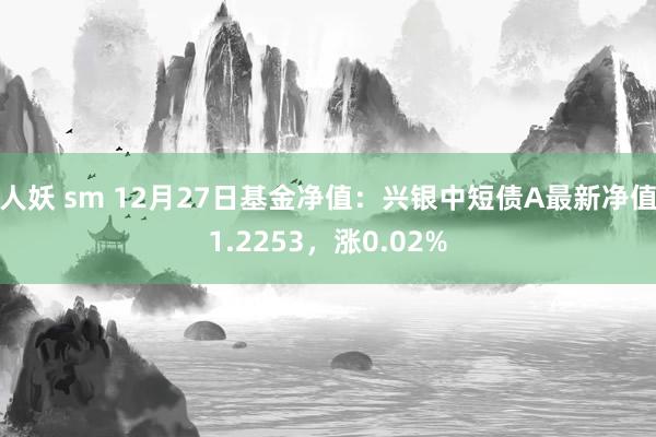 人妖 sm 12月27日基金净值：兴银中短债A最新净值1.2253，涨0.02%