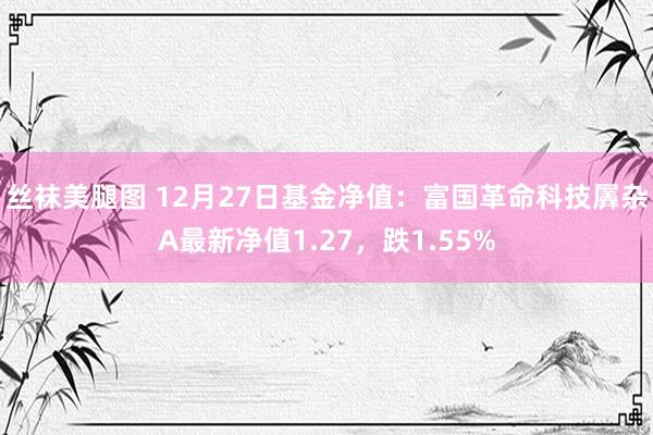 丝袜美腿图 12月27日基金净值：富国革命科技羼杂A最新净值1.27，跌1.55%