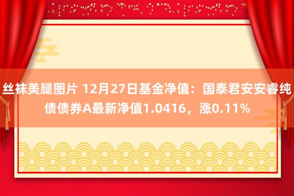 丝袜美腿图片 12月27日基金净值：国泰君安安睿纯债债券A最新净值1.0416，涨0.11%