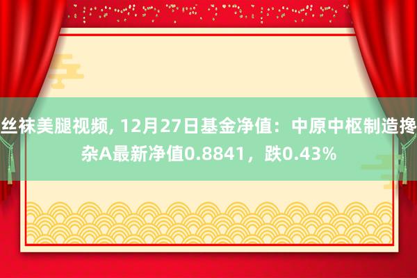 丝袜美腿视频， 12月27日基金净值：中原中枢制造搀杂A最新净值0.8841，跌0.43%