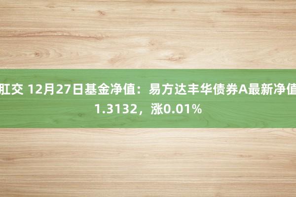 肛交 12月27日基金净值：易方达丰华债券A最新净值1.3132，涨0.01%