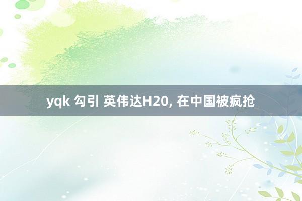 yqk 勾引 英伟达H20， 在中国被疯抢