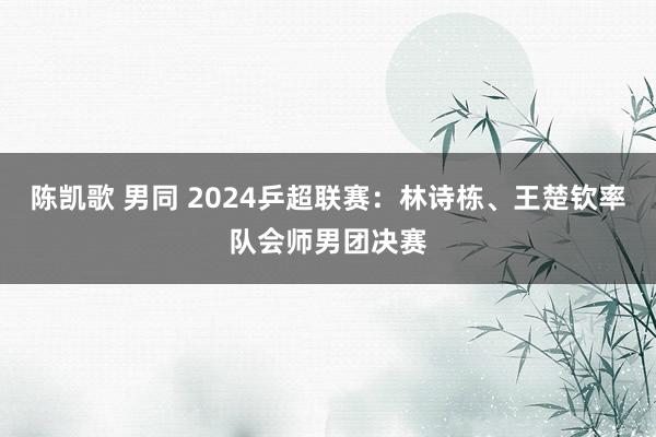 陈凯歌 男同 2024乒超联赛：林诗栋、王楚钦率队会师男团决赛