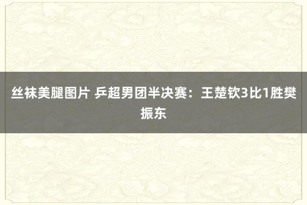 丝袜美腿图片 乒超男团半决赛：王楚钦3比1胜樊振东