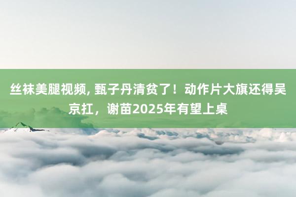 丝袜美腿视频， 甄子丹清贫了！动作片大旗还得吴京扛，谢苗2025年有望上桌