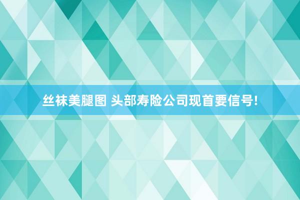 丝袜美腿图 头部寿险公司现首要信号!