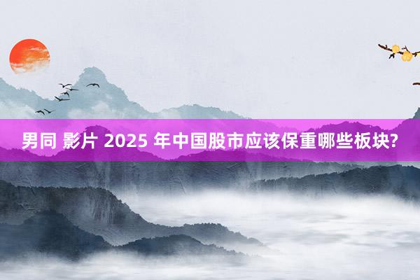 男同 影片 2025 年中国股市应该保重哪些板块?