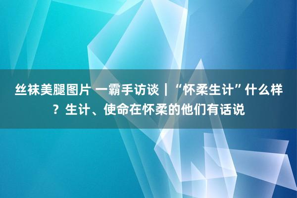 丝袜美腿图片 一霸手访谈｜“怀柔生计”什么样？生计、使命在怀柔的他们有话说