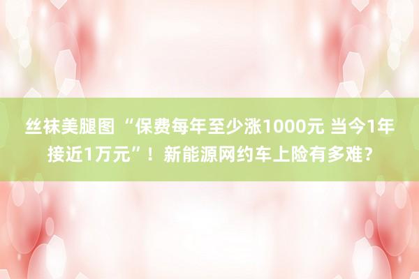 丝袜美腿图 “保费每年至少涨1000元 当今1年接近1万元”！新能源网约车上险有多难？