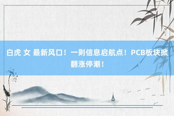 白虎 女 最新风口！一则信息启航点！PCB板块掀翻涨停潮！