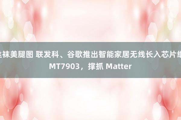 丝袜美腿图 联发科、谷歌推出智能家居无线长入芯片组 MT7903，撑抓 Matter