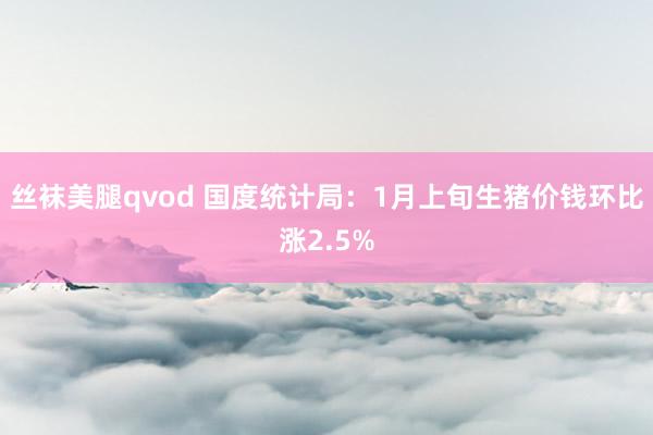 丝袜美腿qvod 国度统计局：1月上旬生猪价钱环比涨2.5%