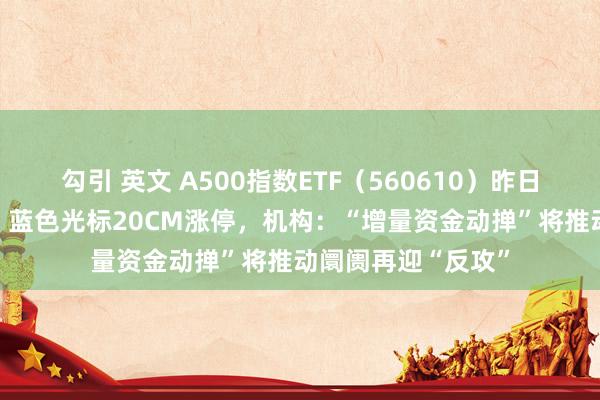 勾引 英文 A500指数ETF（560610）昨日成交额超14亿元，蓝色光标20CM涨停，机构：“增量资金动掸”将推动阛阓再迎“反攻”