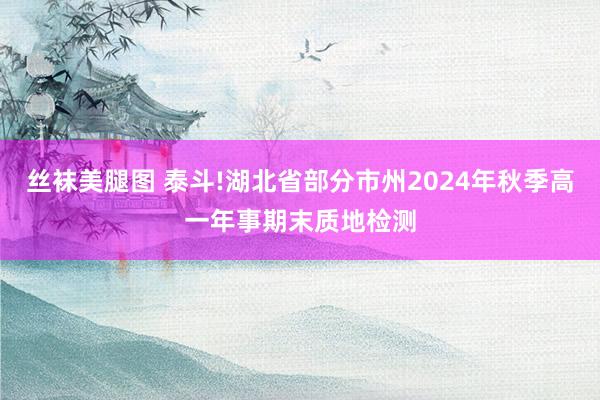 丝袜美腿图 泰斗!湖北省部分市州2024年秋季高一年事期末质地检测