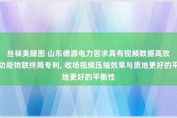 丝袜美腿图 山东德源电力苦求具有视频数据高效存储功能物联终局专利， 收场视频压缩效果与质地更好的平衡性